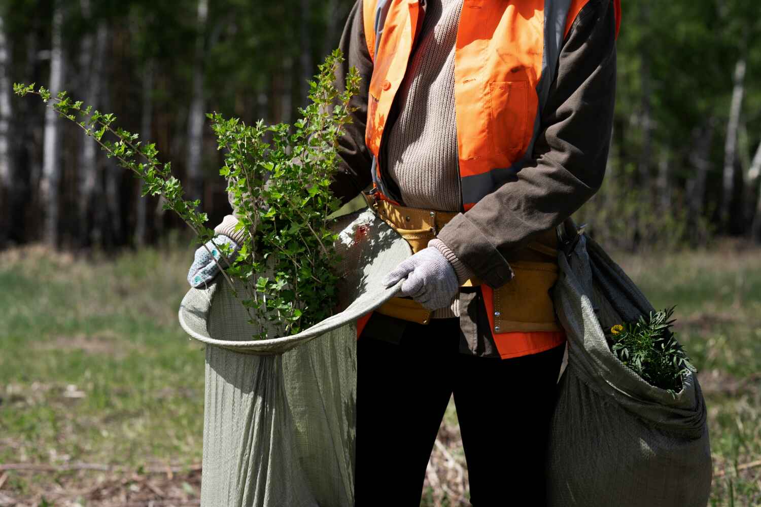 Reliable Intercourse, PA Tree Service Solutions